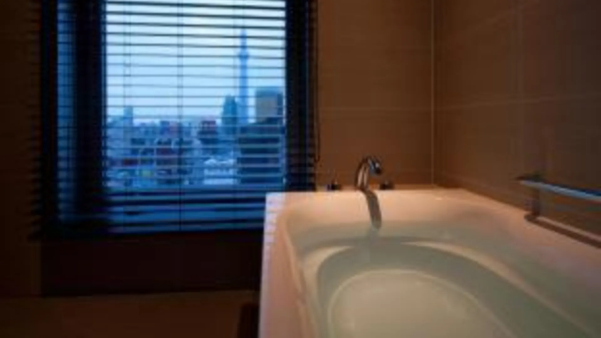 도쿄 / 동경 더 게이트 호텔 가미나리몬 바이 훌릭 4성급 호텔 전망