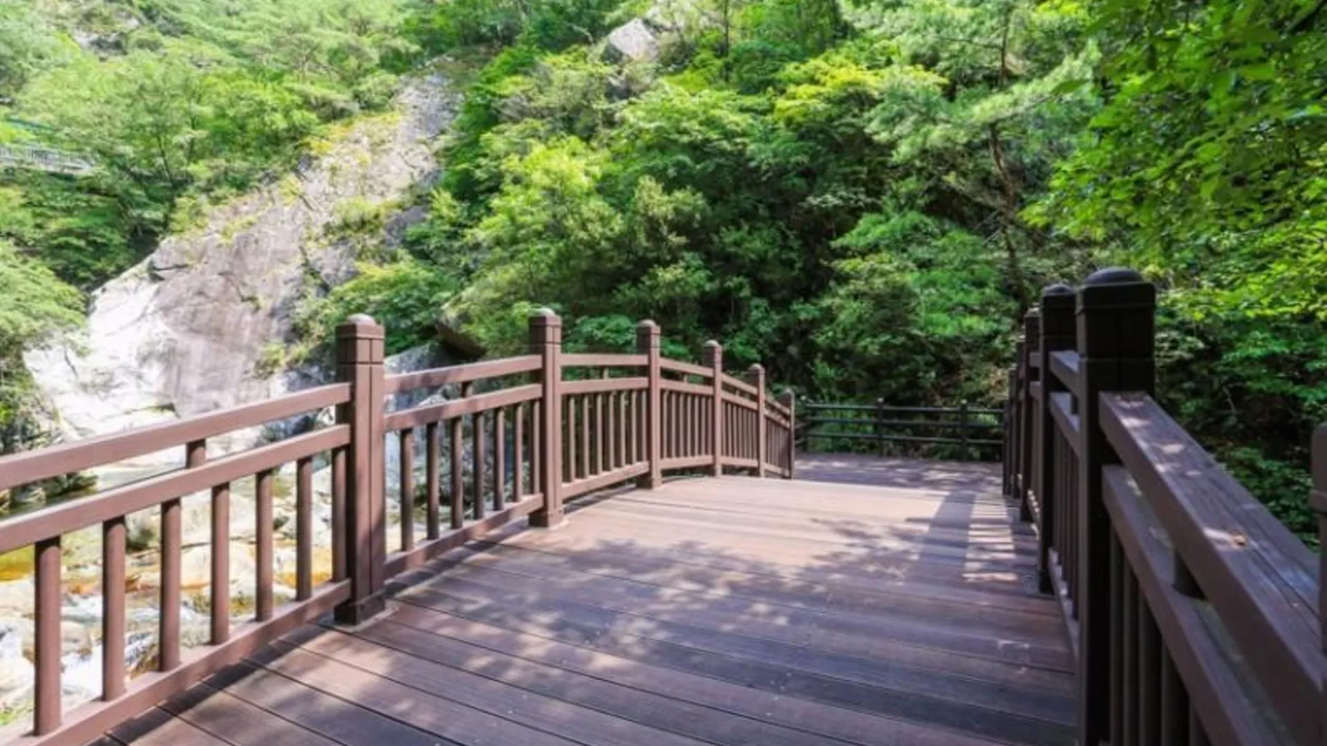 단양 단양 샬롬펜션 3성급 게스트하우스 부대시설