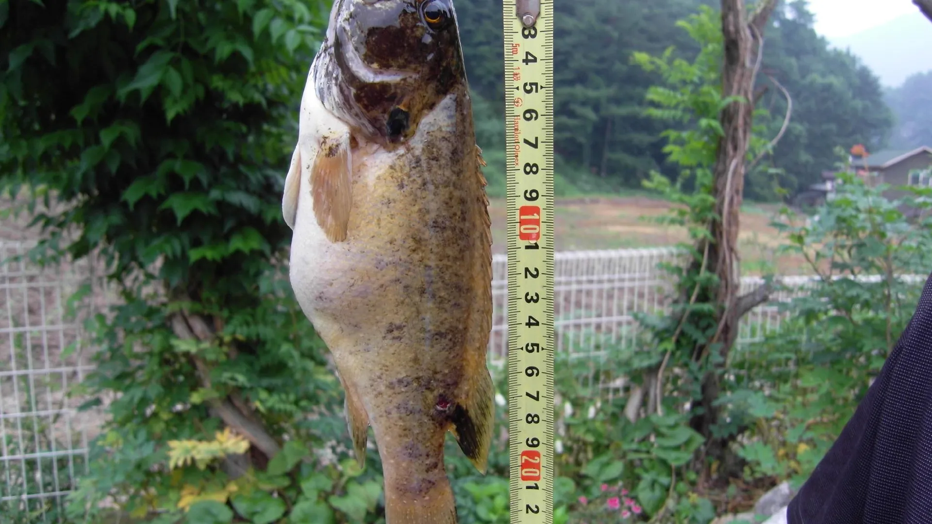 가평 가평 화악산풍경펜션 2성급 게스트하우스 객실