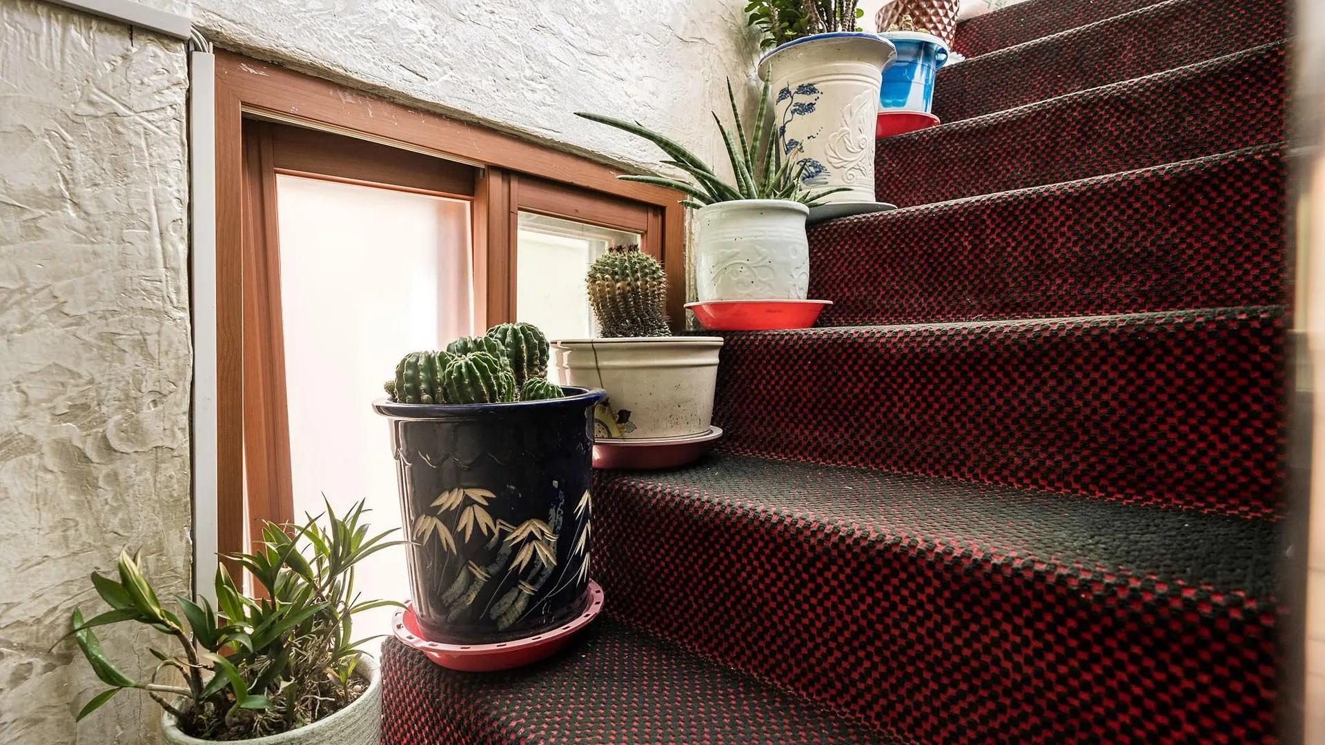 서울 중랑 발리 1성급 호텔 부대시설