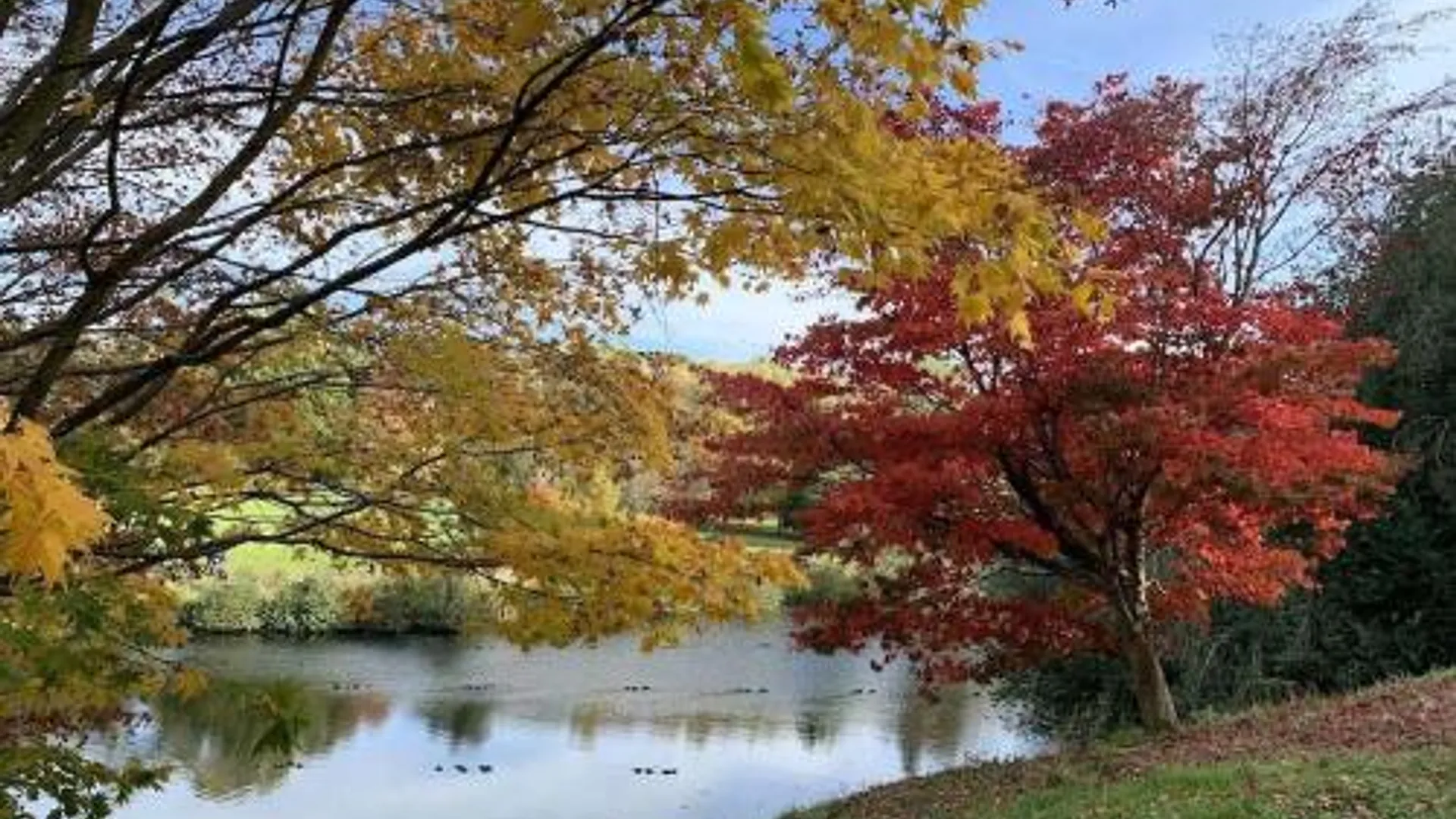 치딩폴드 The Swan Inn 4성급 호텔 부대시설