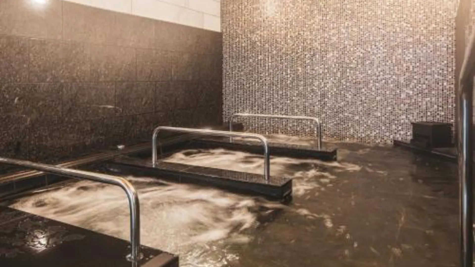 도쿄 / 동경 APA 호텔&리조트 료고쿠 에키마에 타워 3성급 호텔 부대시설