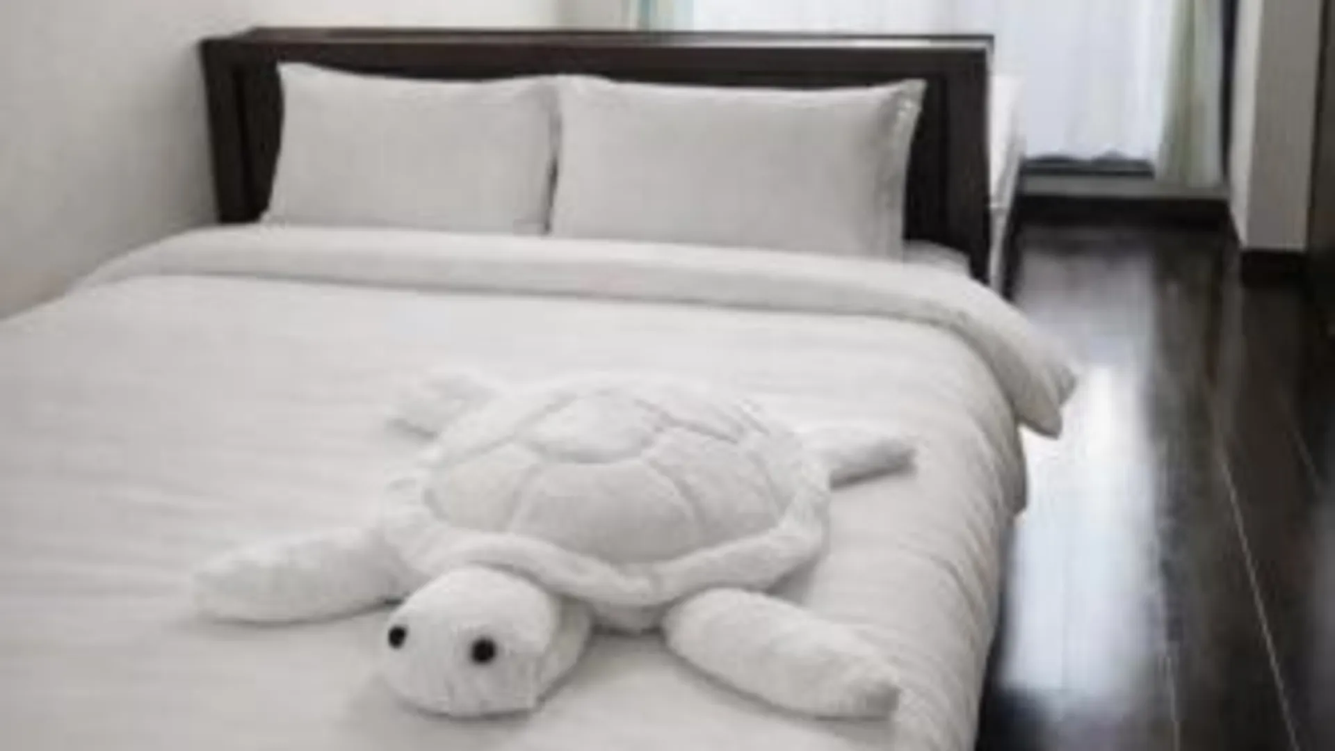 오사카 亀さんがいるゲンちゃん 大阪道頓堀 2성급 싱글룸 스위트룸