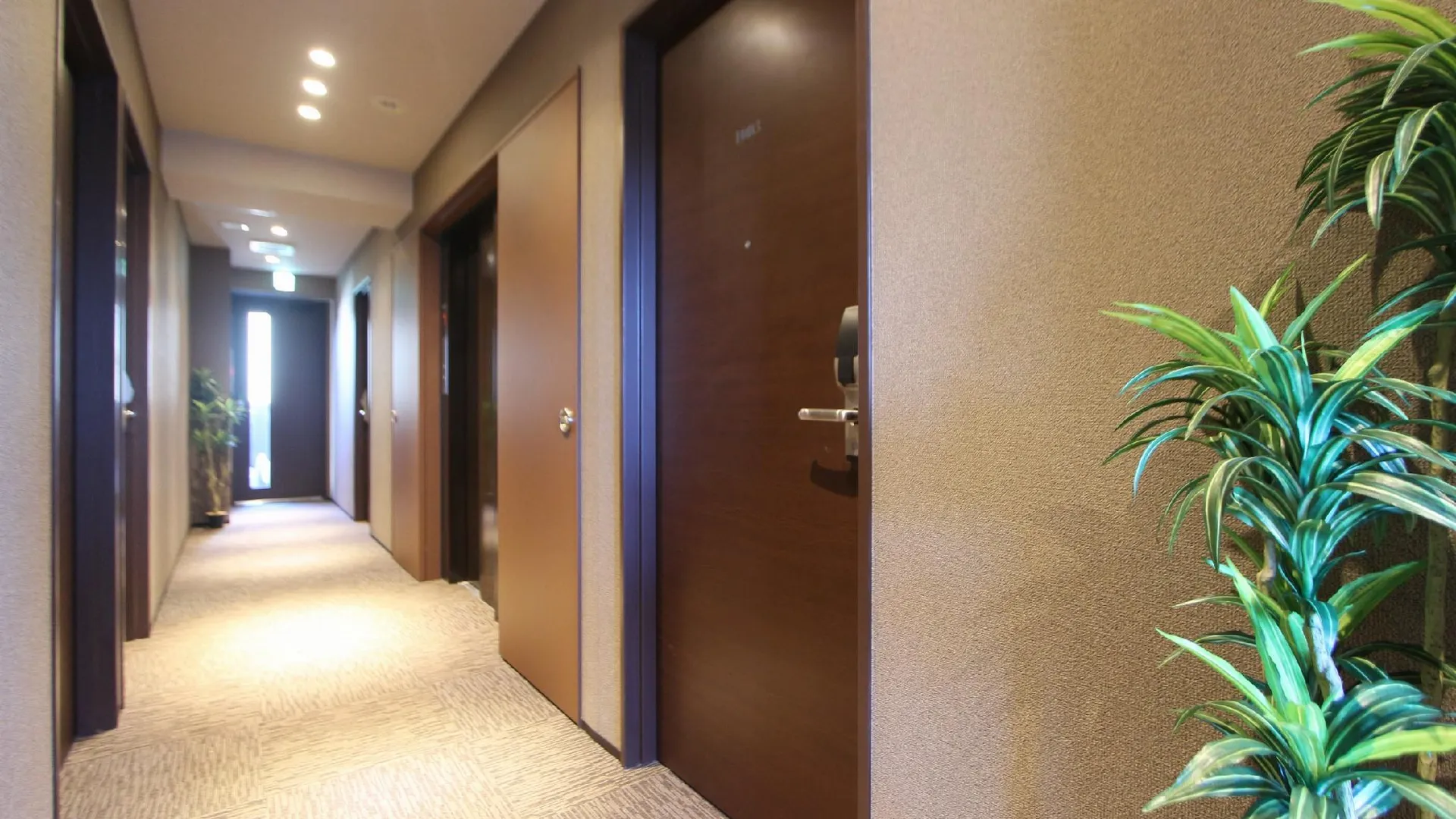 도쿄 / 동경 호텔 라이브맥시 히가시-긴자 3성급 호텔 수영장