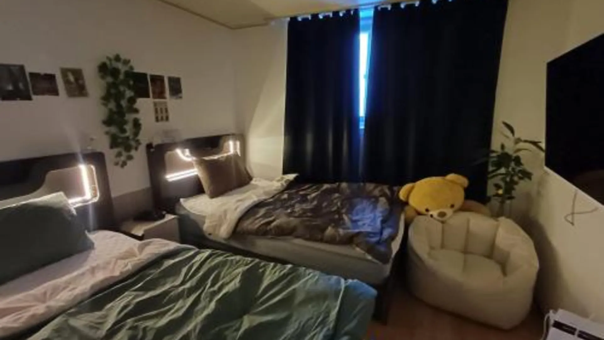 서울 two room Cozy and Cool House Food alley 2성급 싱글룸 스위트룸