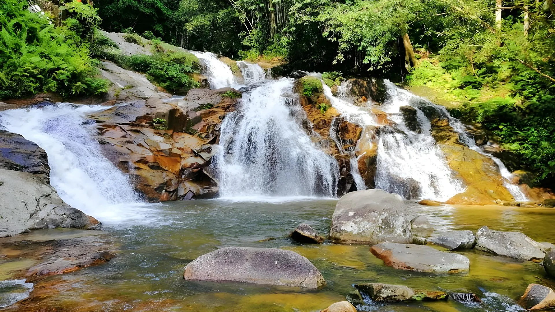 숭가이 페타니 Rumah Seri Bayu Lata Bayu Baling  3성급 게스트하우스 레스토랑