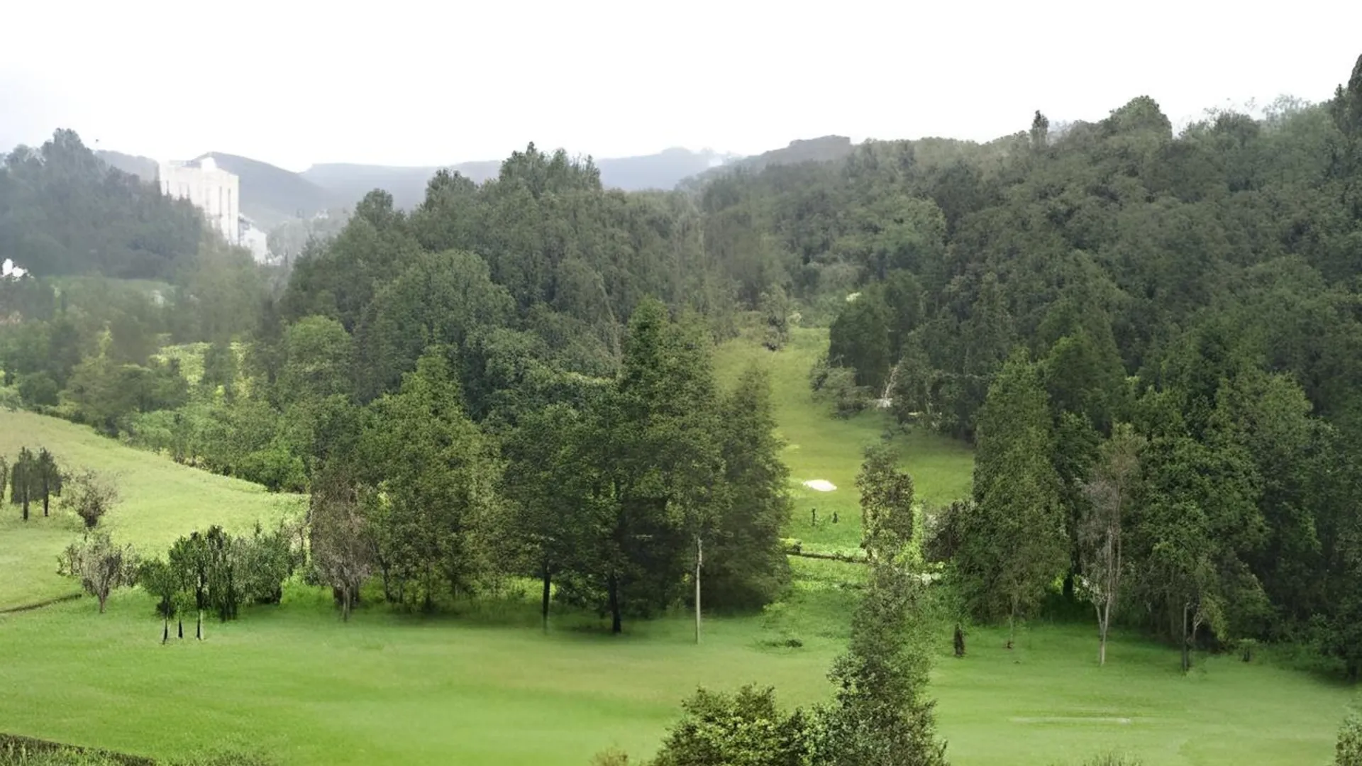 카메론 하일랜즈 패트릭 아파트먼트 @ 아이리스 하우스 리조트 2성급 게스트하우스 전망