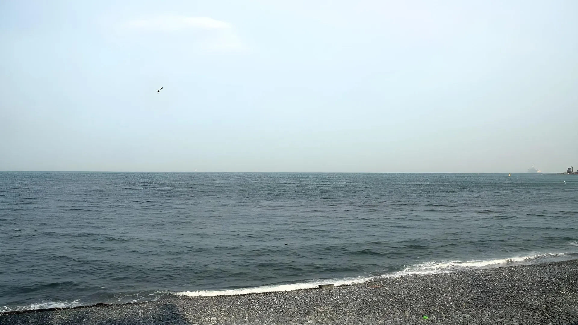 울산 춤추는 고래 펜션 2성급 게스트하우스 레스토랑