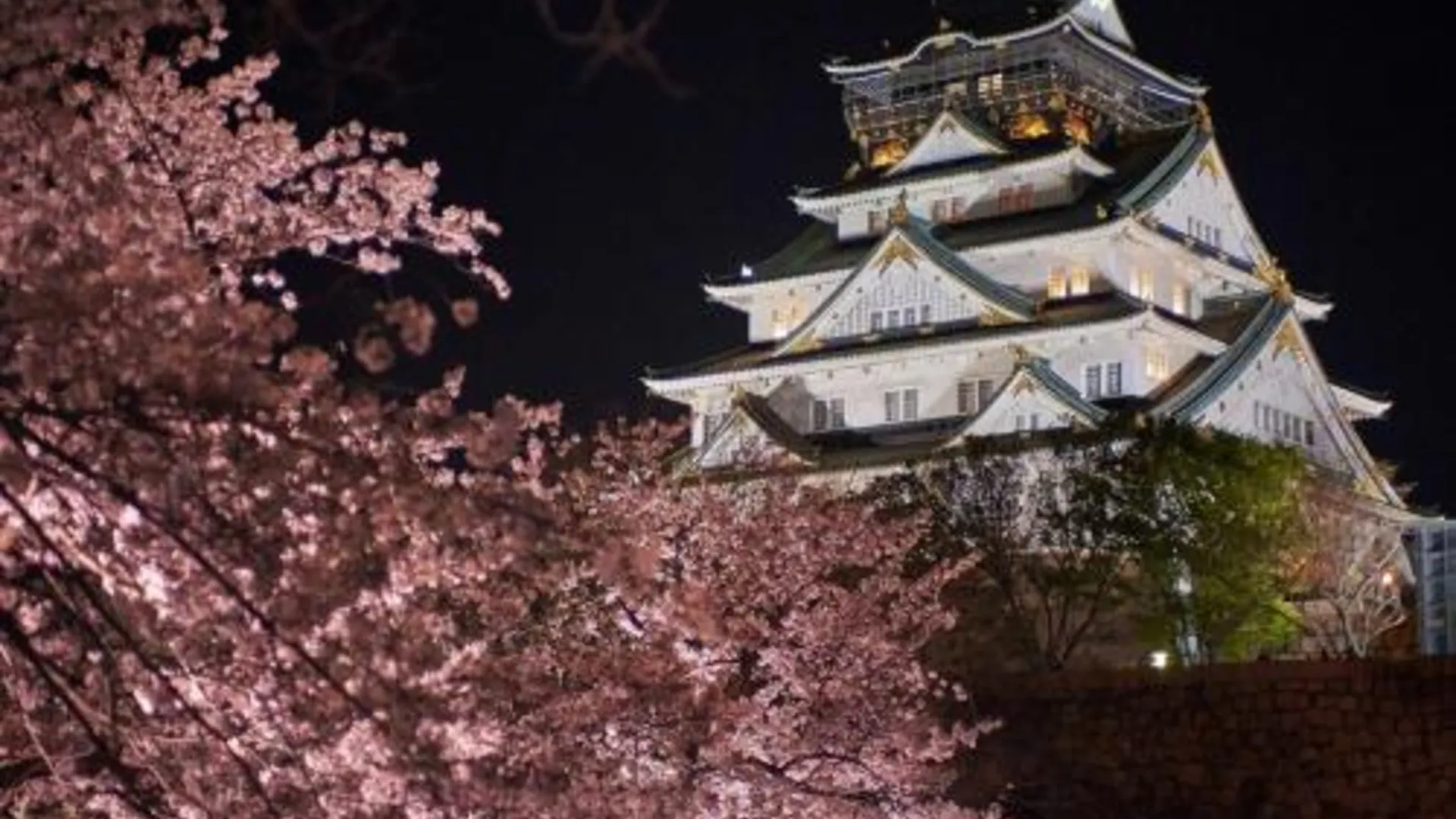 오사카 Honmachi Spacious Family Apartment 3min Walk from Station for 6 Guests 1008 3성급 싱글룸 부대시설