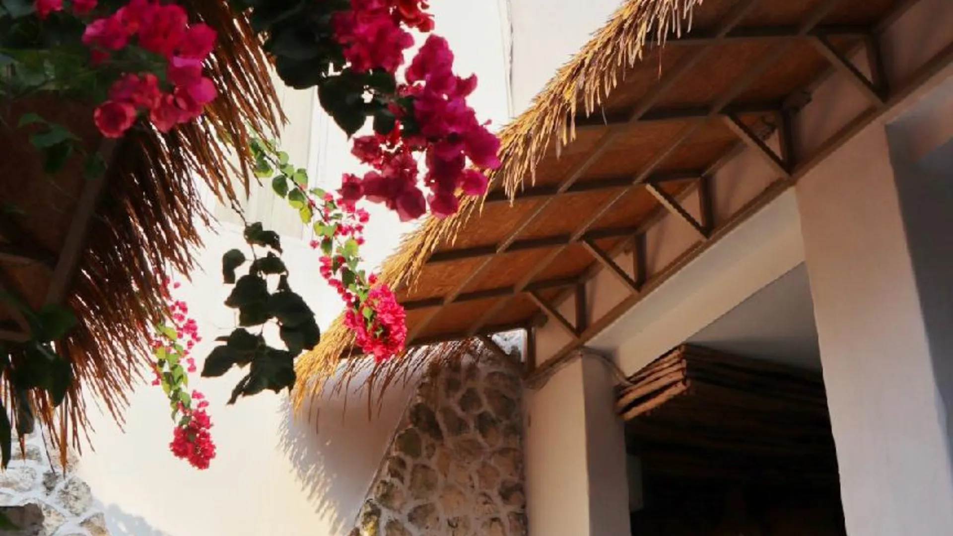 발리 카이야라 짐바란 발리 호텔 3성급 호텔 전망