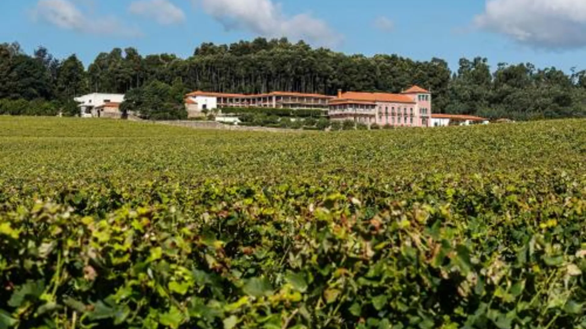 바르셀로스 Solar de Vila Meã 4성급 호텔 객실