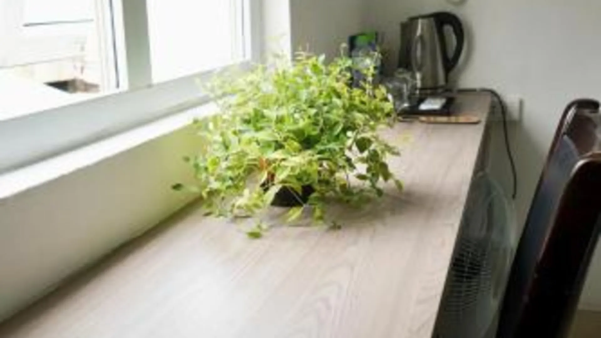 하노이 블루벨 호텔 1성급 호텔 레스토랑