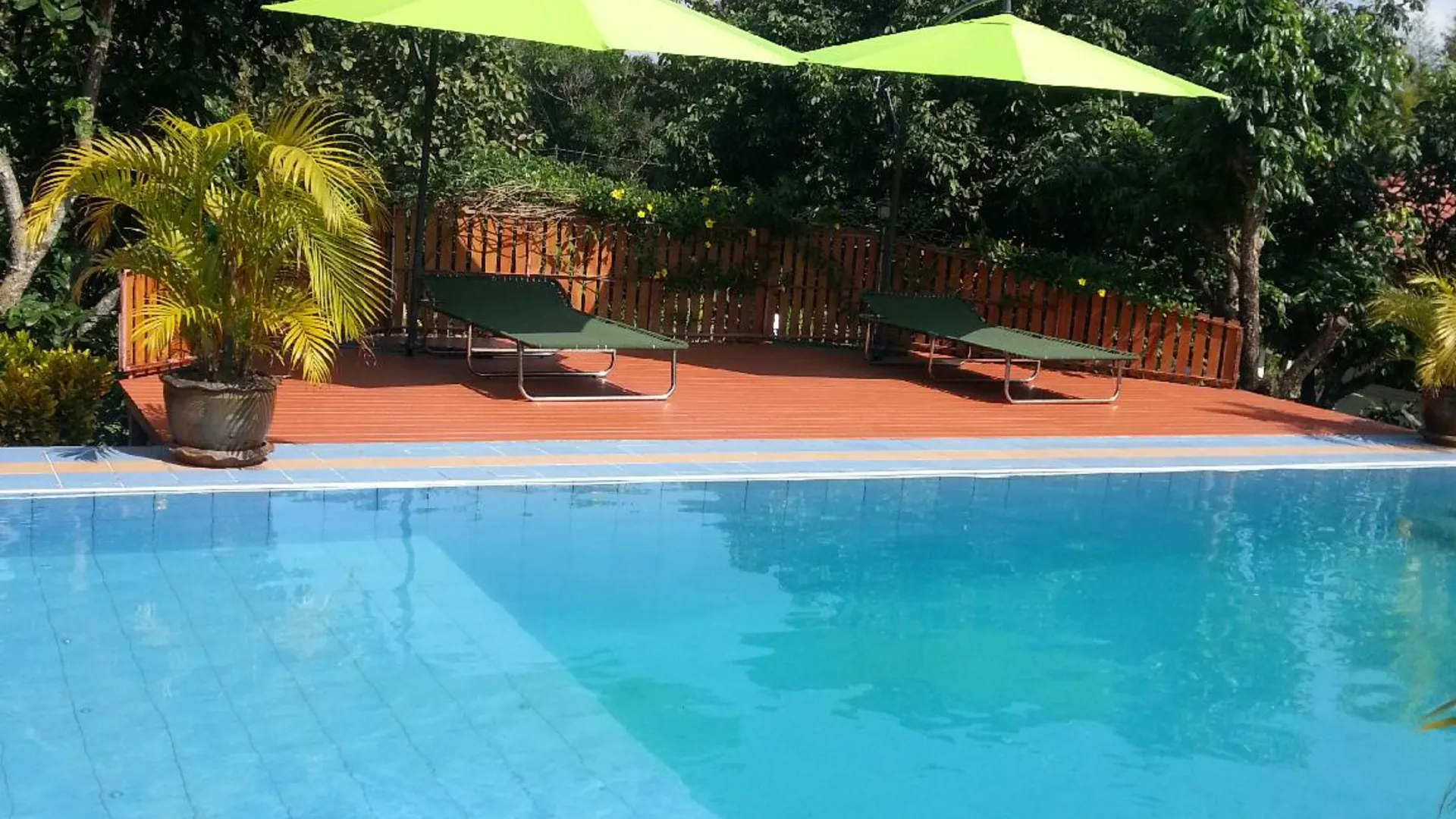 치앙라이 House of Garden 4성급 게스트하우스 전망