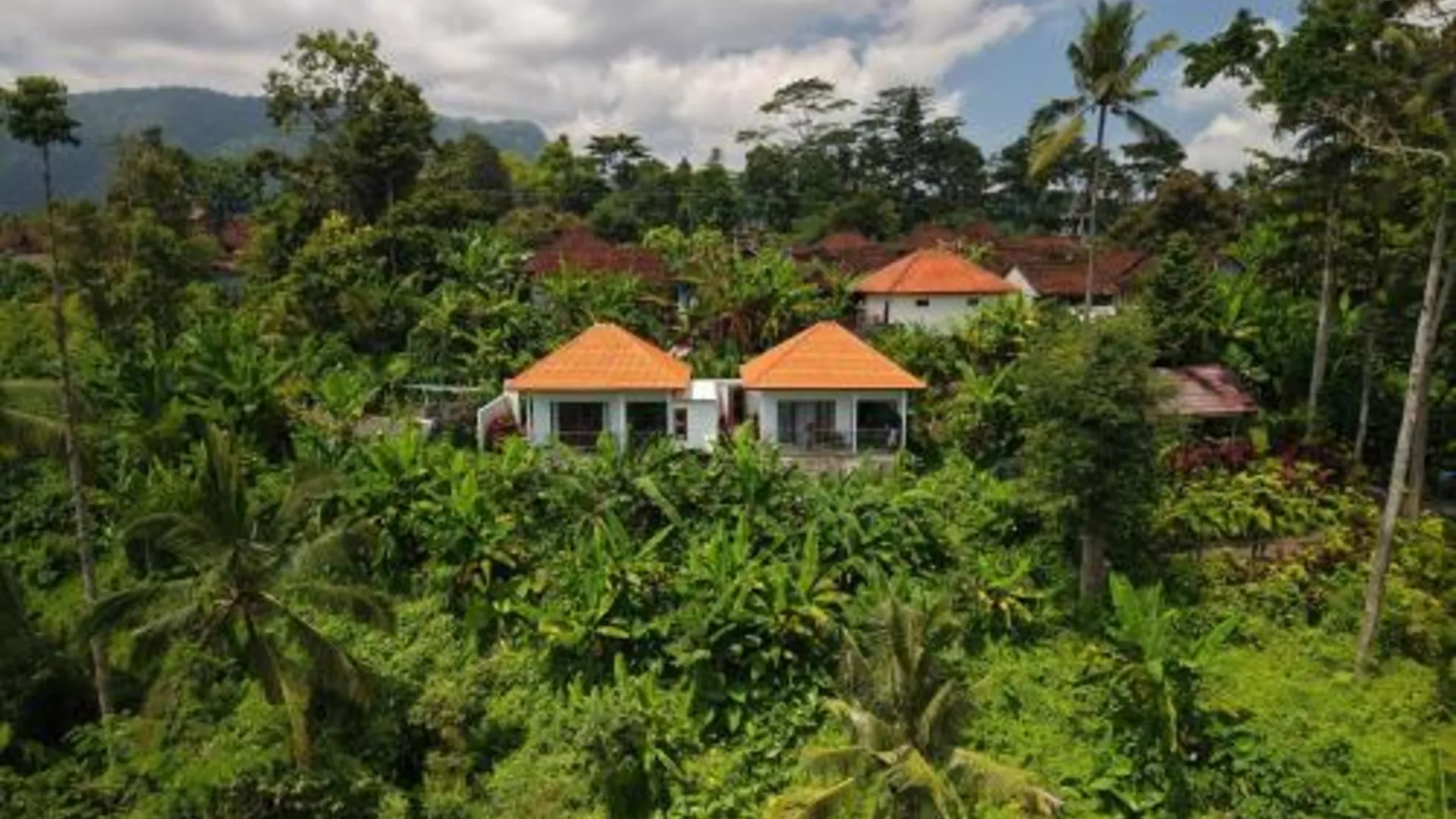 발리 Sidemen padi villas 3성급 호텔 수영장