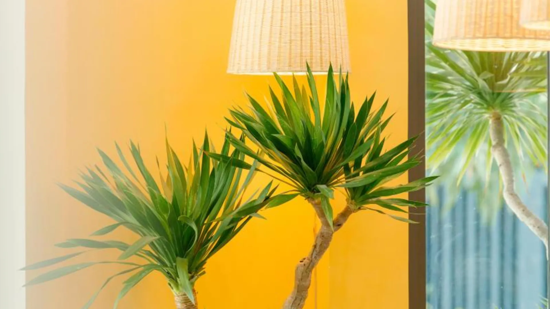 다낭 더 백패커 호텔 4성급 호텔 전망