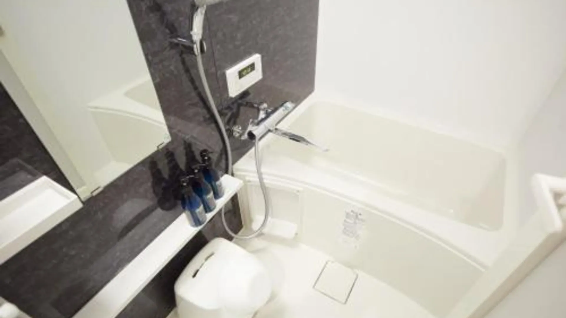 도쿄 / 동경 SG Premium KASAI - Vacation STAY 44284v 2성급 호텔 스위트룸