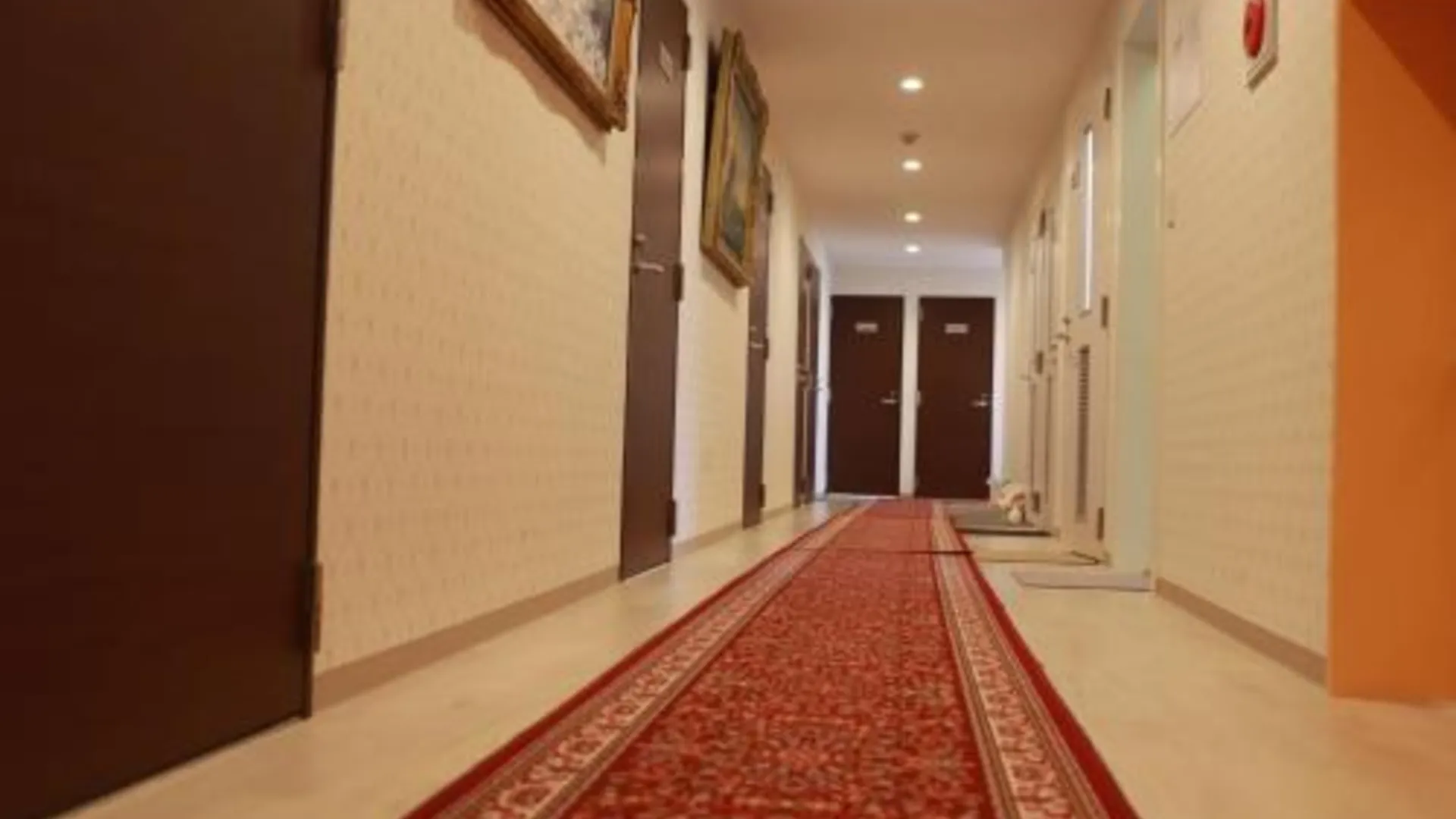 도쿄 / 동경 도쿄 게스트 하우스 2020 1성급 호텔 수영장