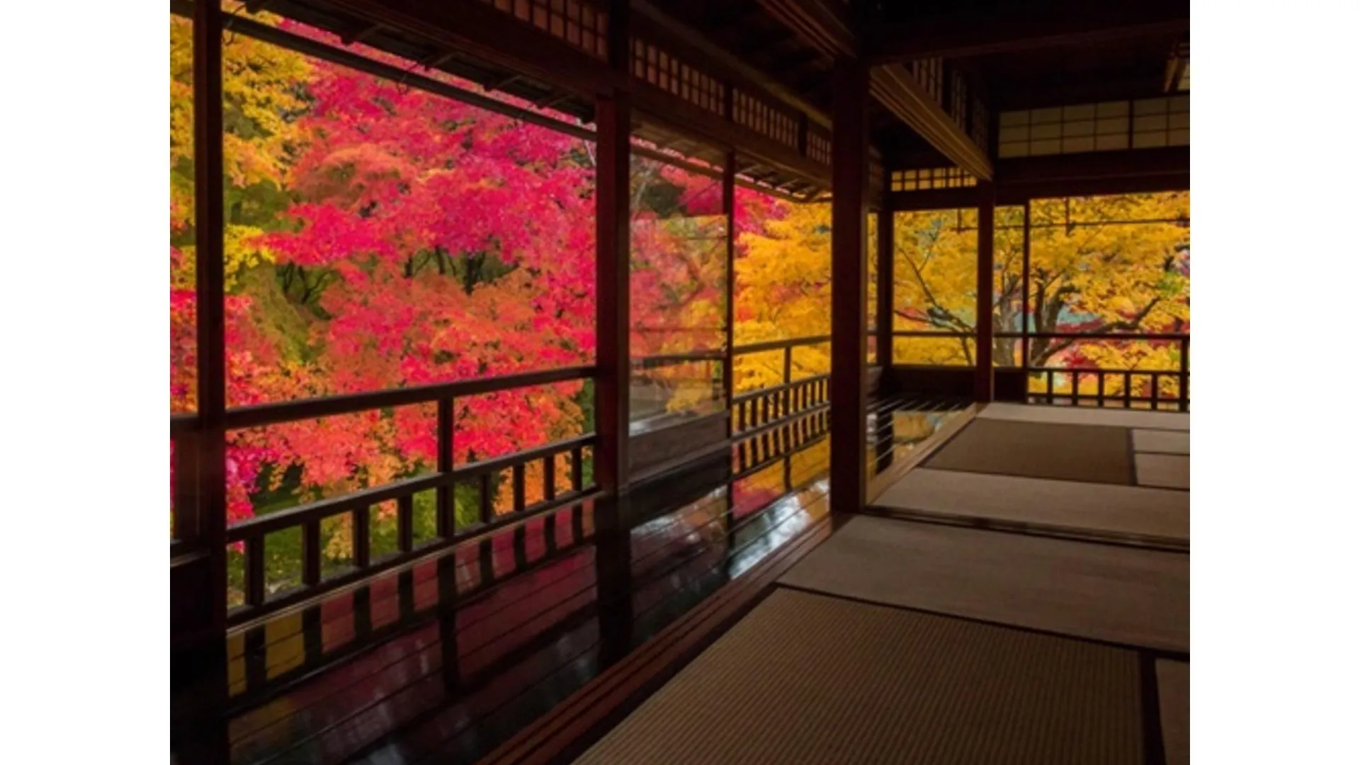 교토 더 주네이 호텔 교토 임페리얼 팰리스 웨스트 4성급 호텔 외관