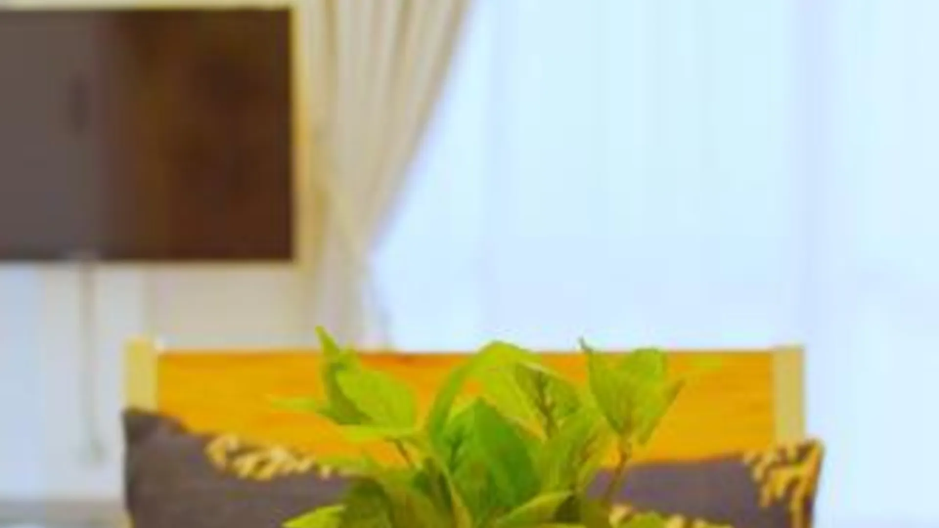 오키나와 본섬 Enjoymaru 202 2성급 싱글룸 부대시설