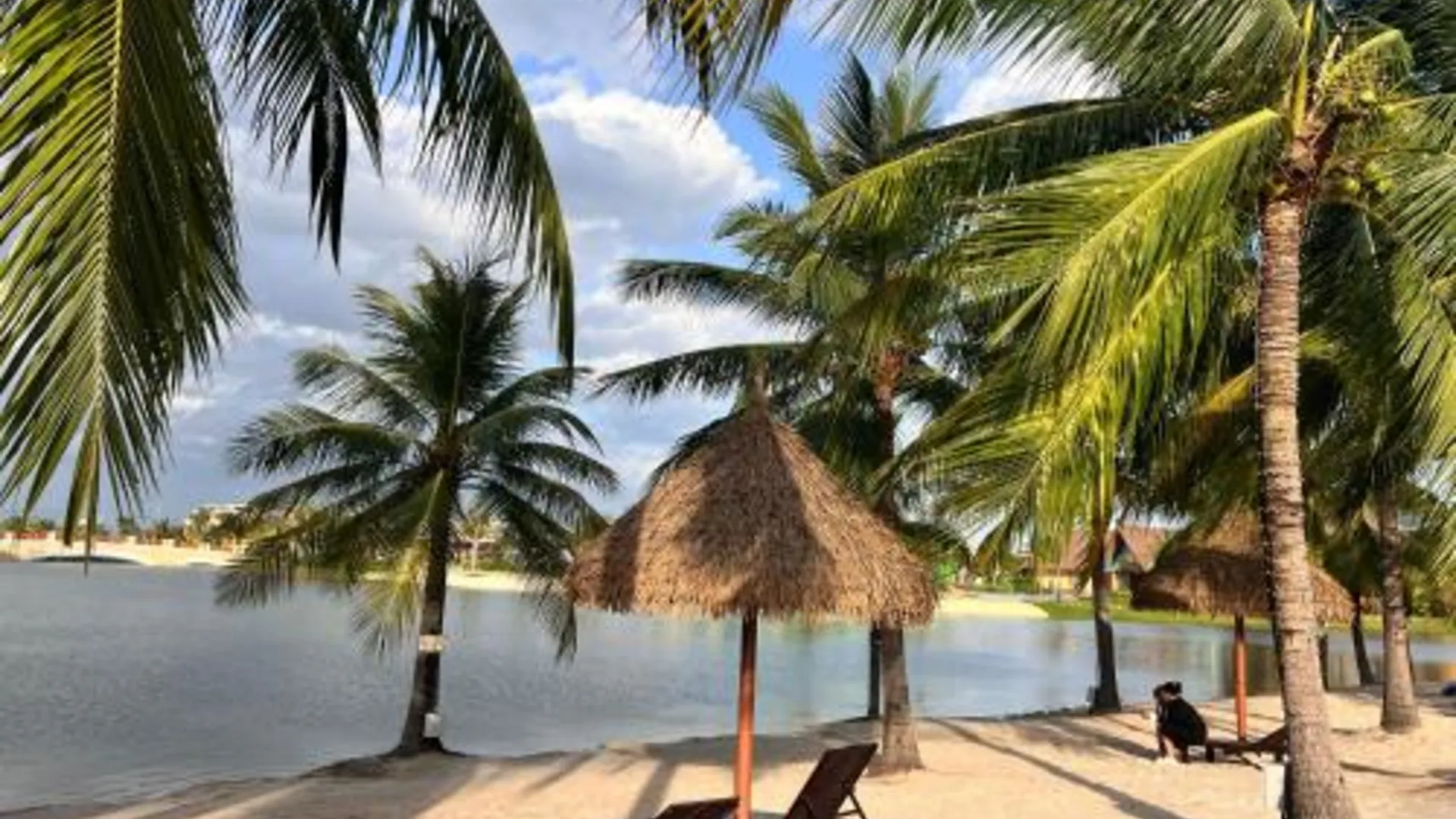 호치민 9군의 프라이빗 하우스 (35m², 침실 1개, 프라이빗 욕실 1개) 4성급 게스트하우스 수영장