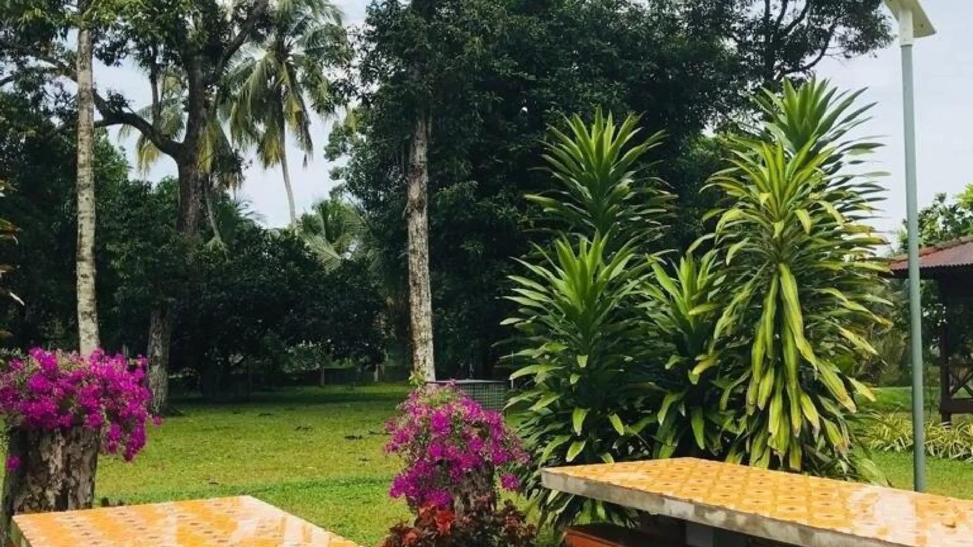 말라카 Rimba Alor Orchard Villa (Villa Alor) 4성급 게스트하우스 객실