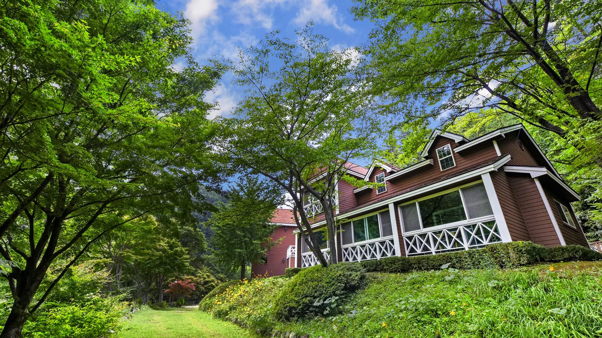 양양 양양 꿈꾸는숲펜션 1성급 게스트하우스 외관