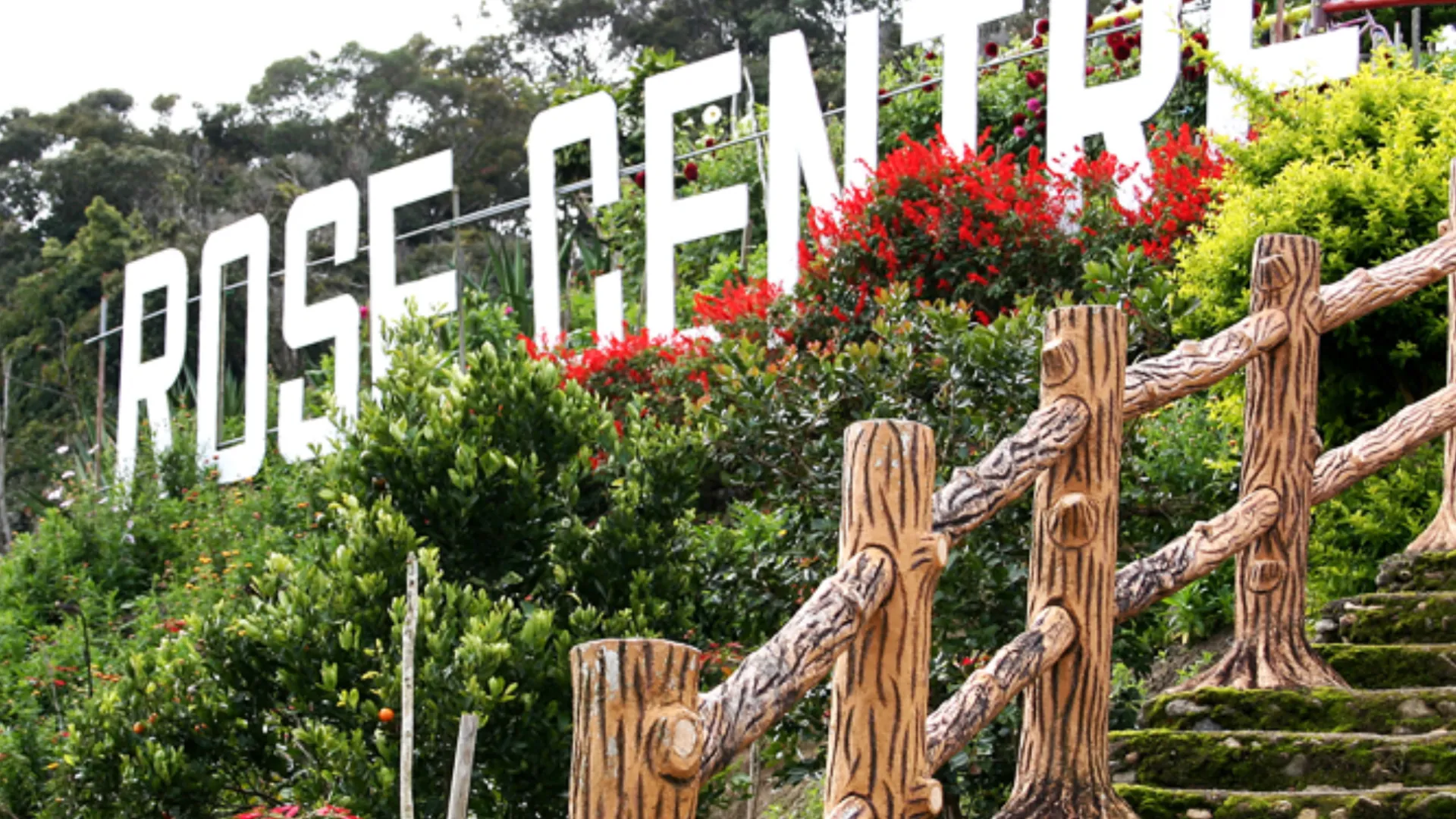 카메론 하일랜즈 브린창의 스튜디오 아파트먼트 (51m², 프라이빗 욕실 1개) 2성급 싱글룸 객실