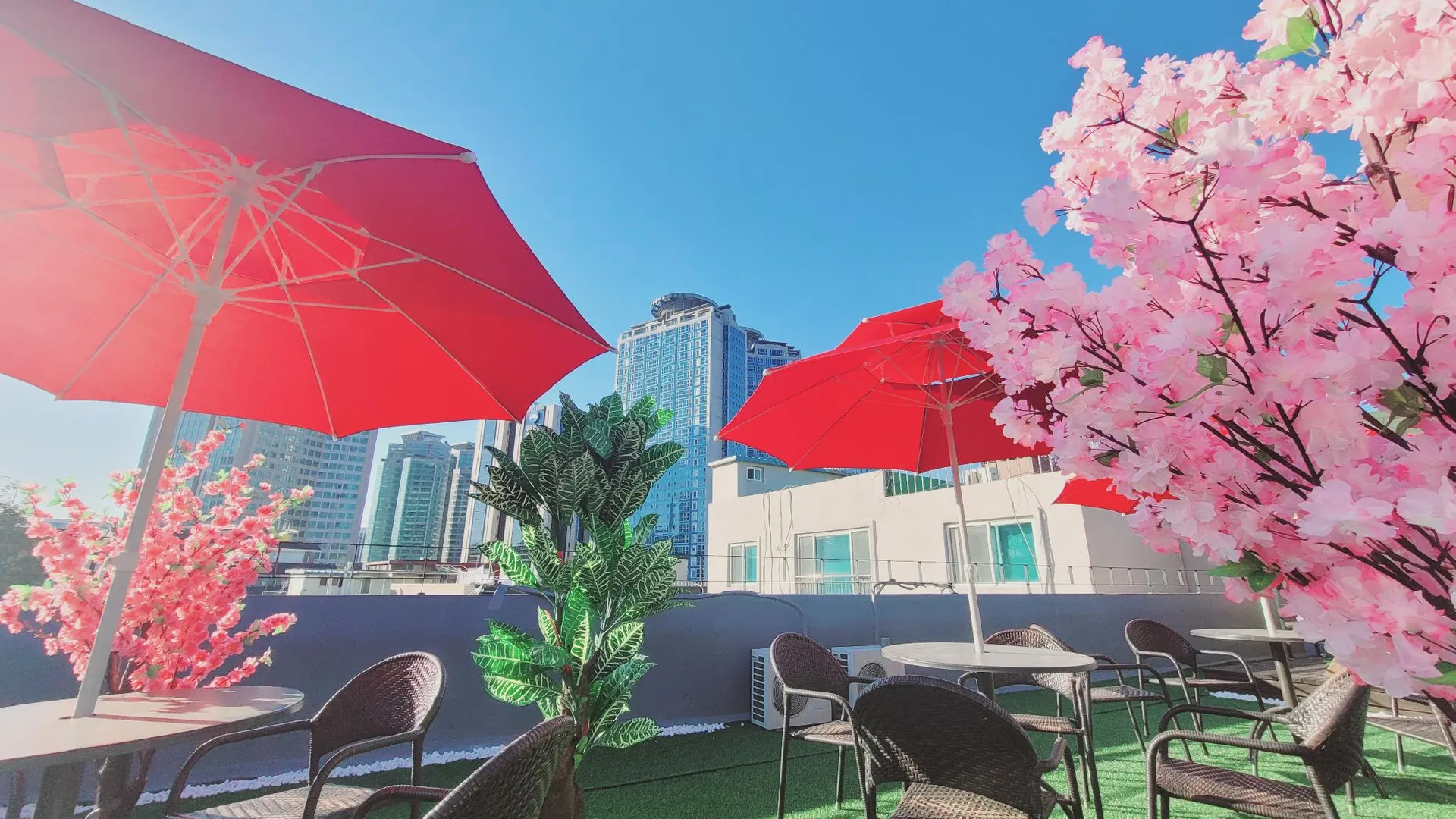 서울 올리브 호스텔 명동점 2성급 호텔 객실