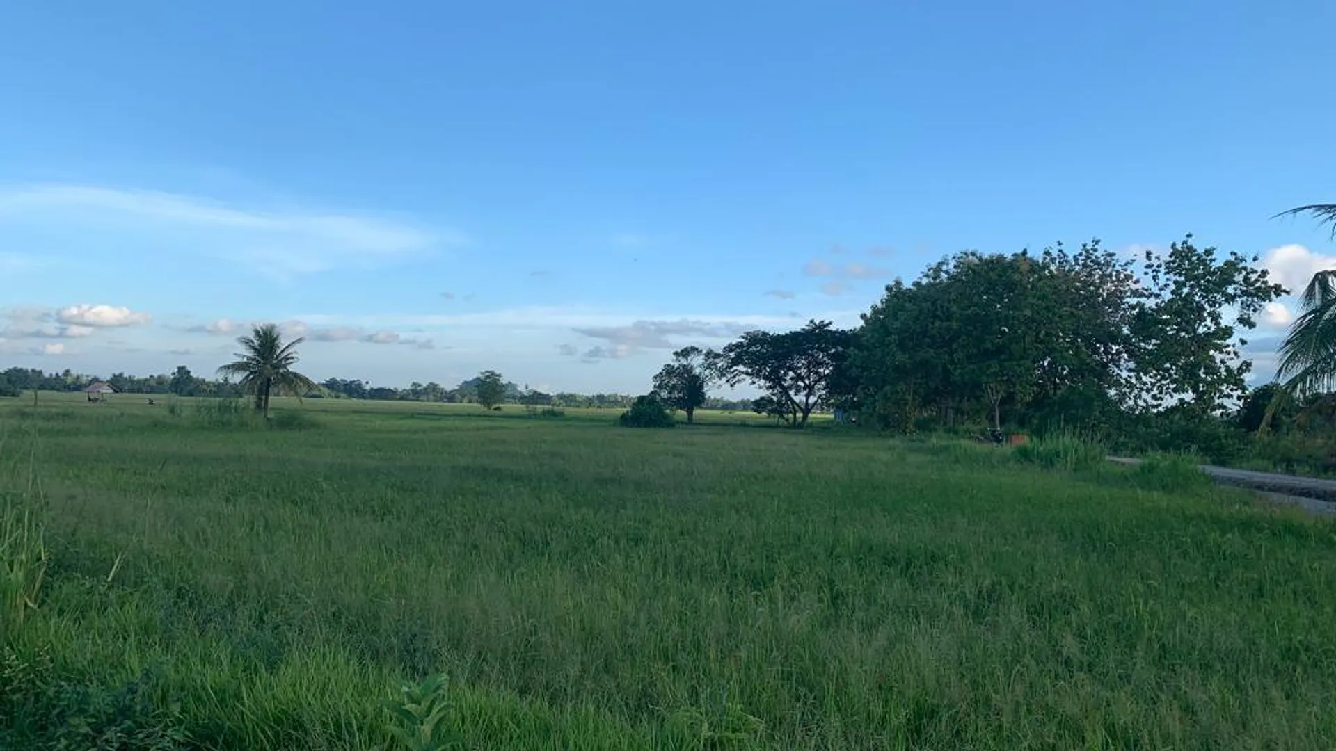 베세리 베세리의 프라이빗 하우스 (100m², 침실 2개, 프라이빗 욕실 2개) 3성급 게스트하우스 객실