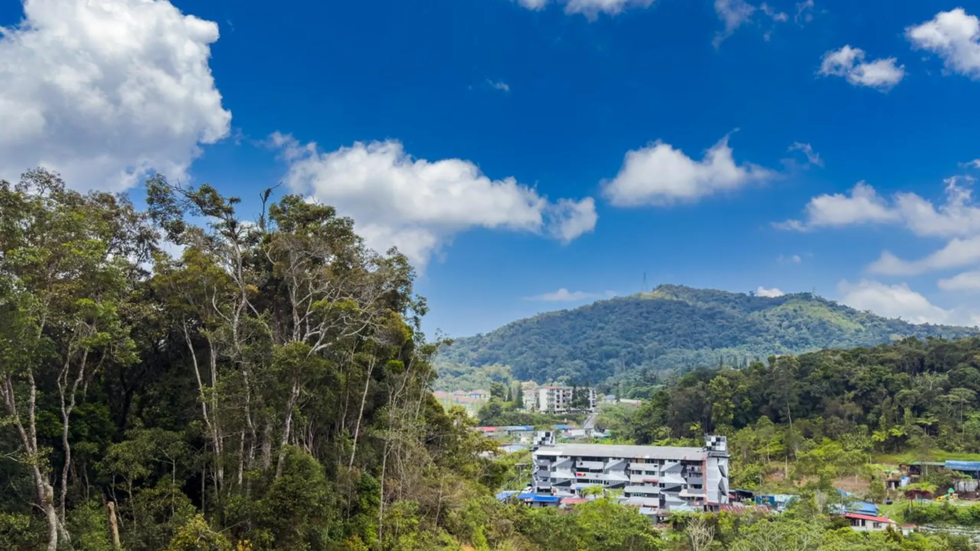 카메론 하일랜즈 타나 라타의 아파트먼트 (900m², 침실 3개, 프라이빗 욕실 2개) 3성급 싱글룸 로비