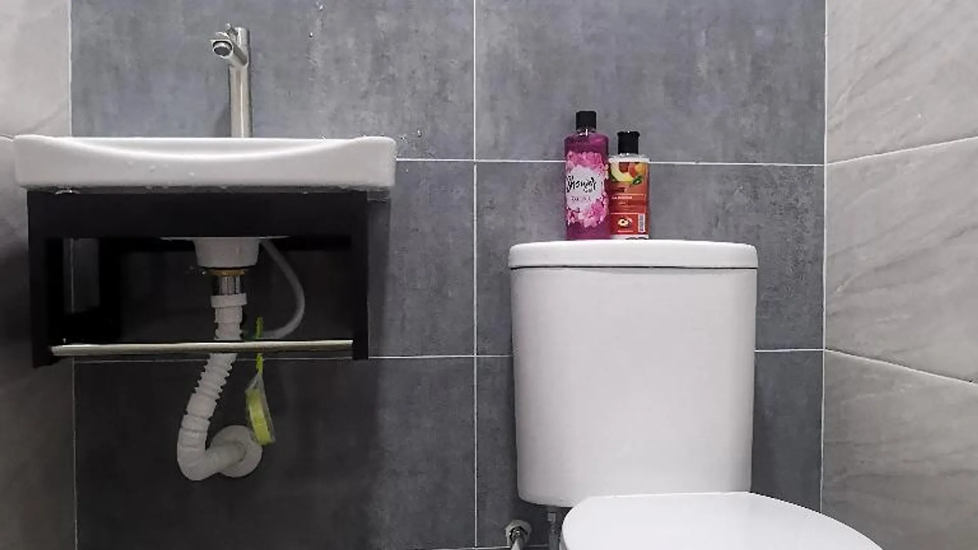 포트 딕슨 포트딕슨 워터프런트의 프라이빗 하우스 (11m², 침실 1개, 프라이빗 욕실 1개) 1성급 싱글룸 로비