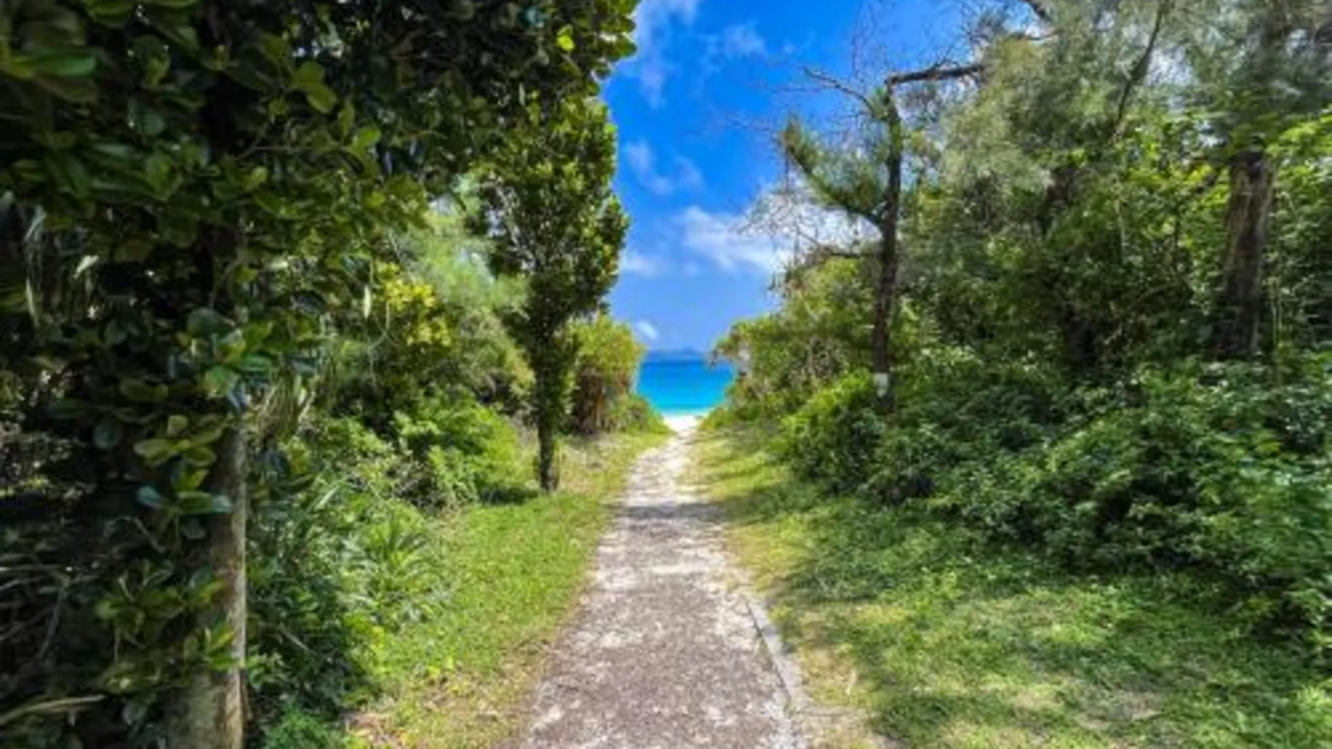 오키나와 본섬 松田テラスB Matsuda Terrace B 4성급 싱글룸 객실