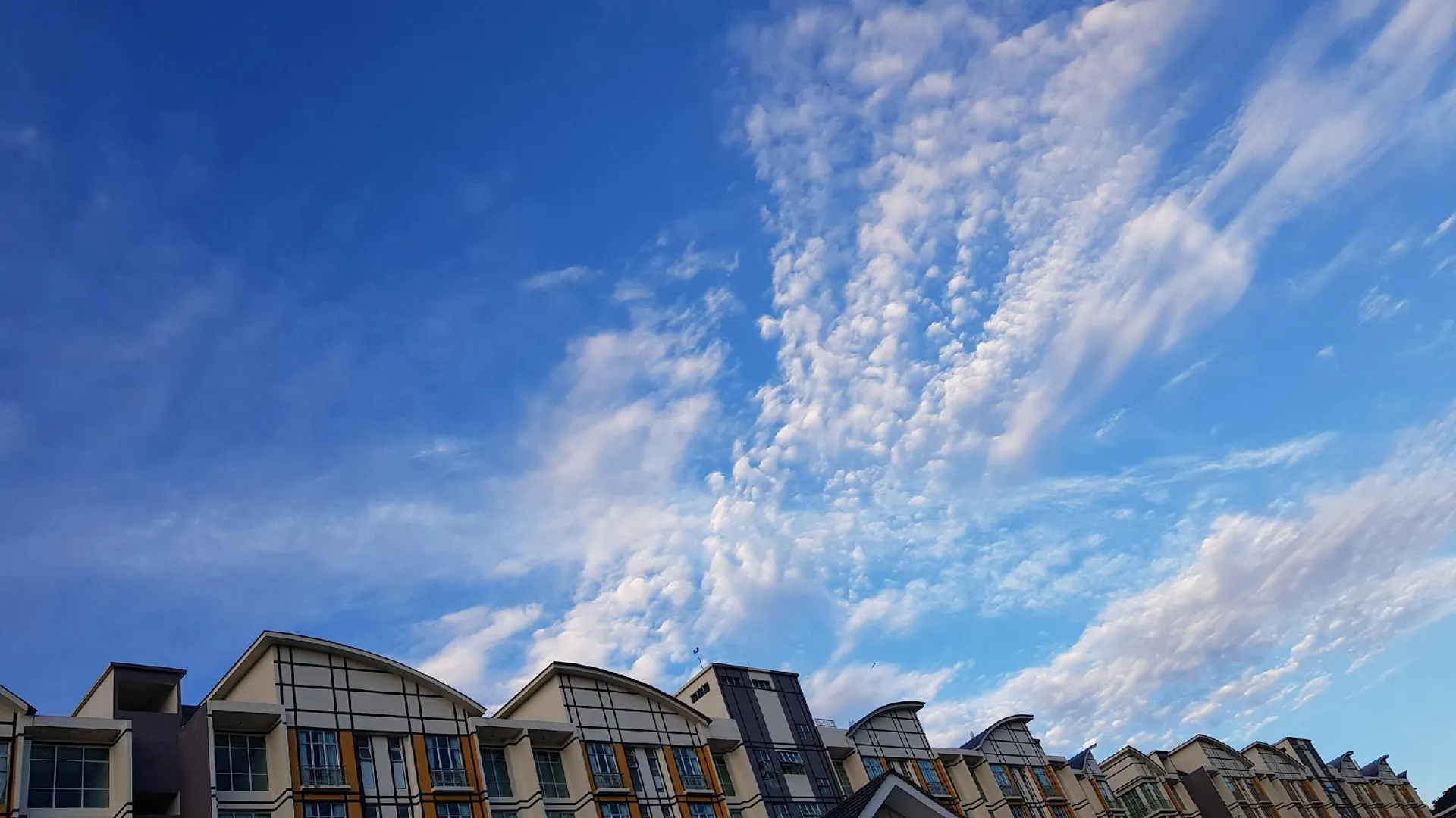 카메론 하일랜즈 G 레지던스 호텔 전망