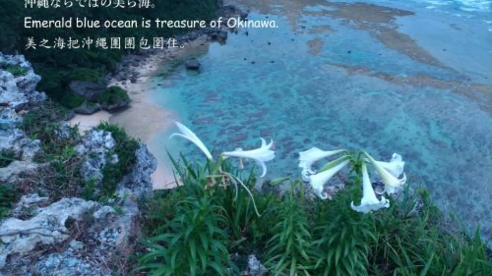 오키나와 본섬 Guesthome Machiya Koza カーシェア可能 長期滞在割引あり 3성급 호텔 레스토랑