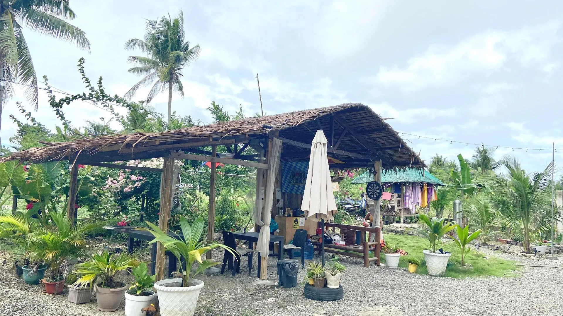 세부 코코넛 인 모알보알 1성급 호텔 외관