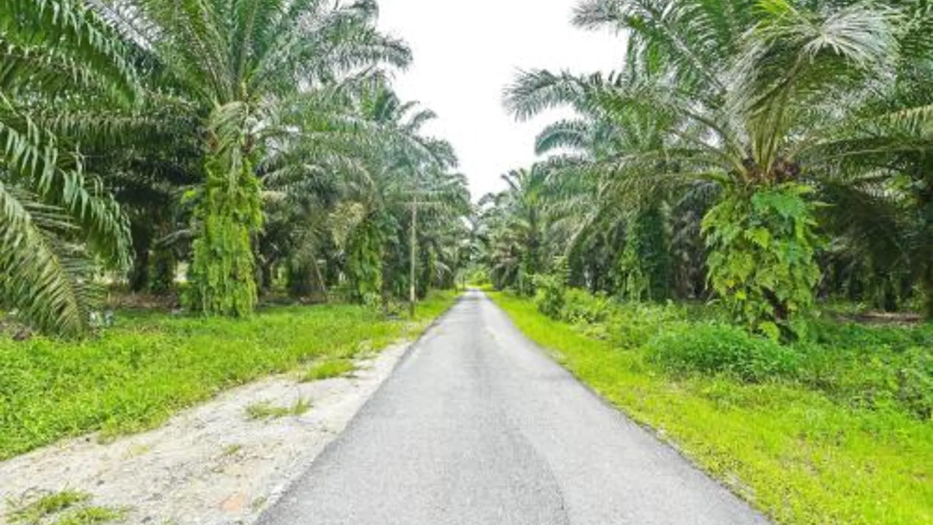 폰티안 Hotel O Jentayu Homestay Pontian 4성급 게스트하우스 객실