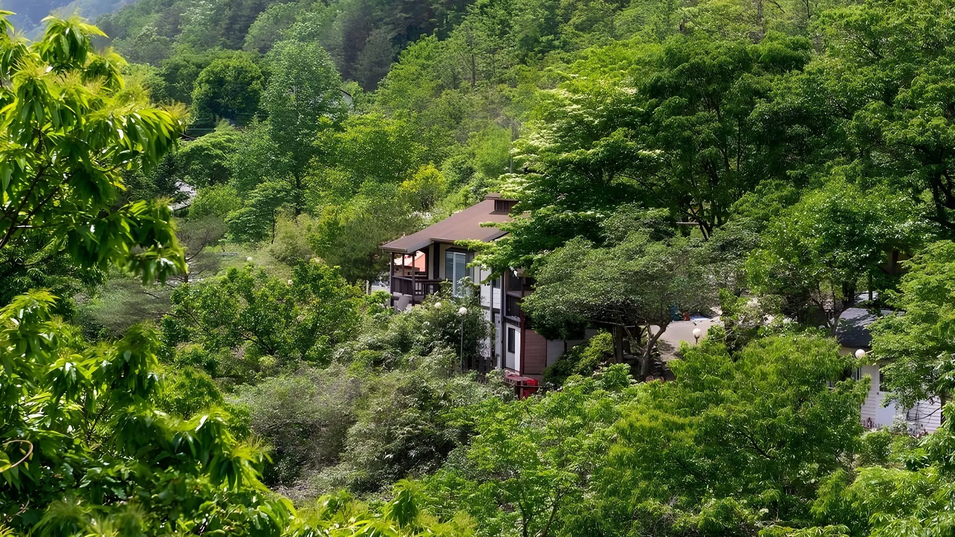 양양 다산방 펜션 2성급 게스트하우스 부대시설