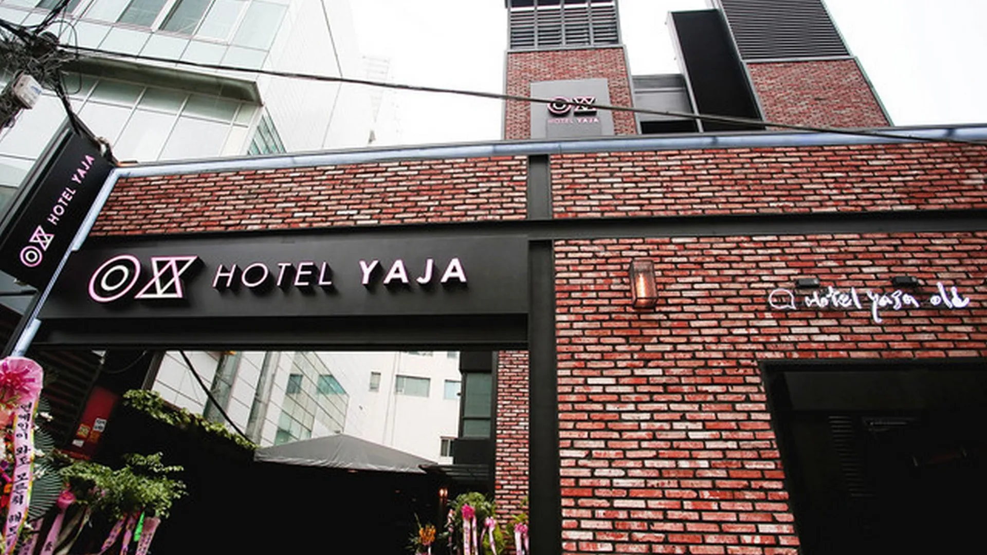 서울 강남 YAJA 강남 논현점 호텔 수영장