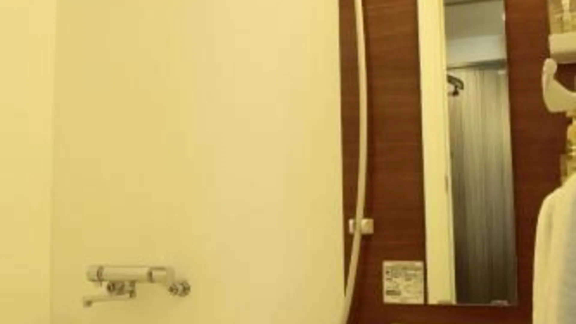 도쿄 / 동경 Hotel New Takada 2성급 호텔 객실