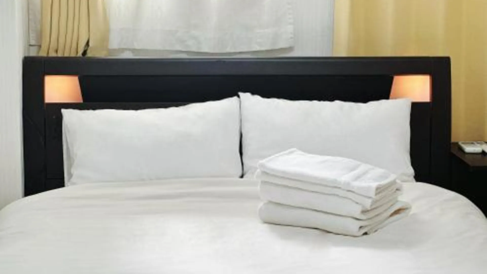 도쿄 / 동경 淺夏館Asakakan 3성급 싱글룸 수영장