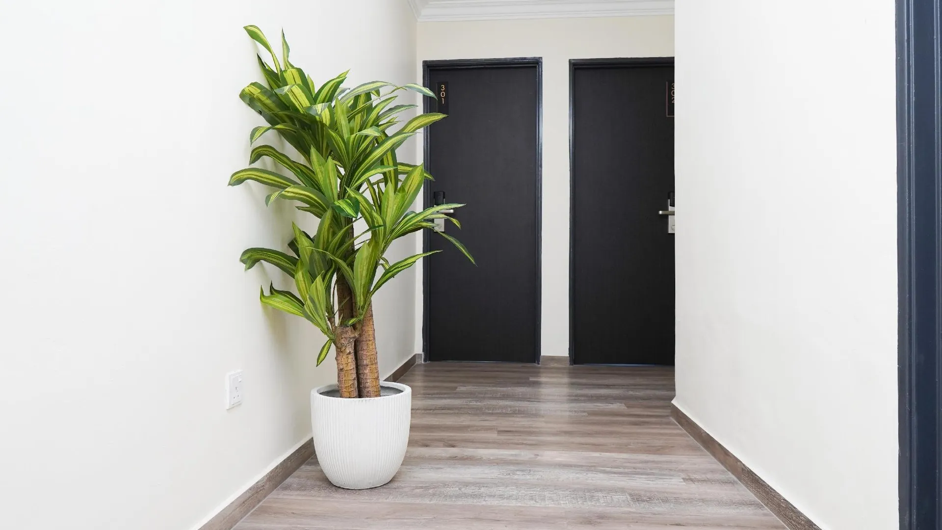 조호바루 / 조호르바루 안타 호텔 2성급 호텔 수영장