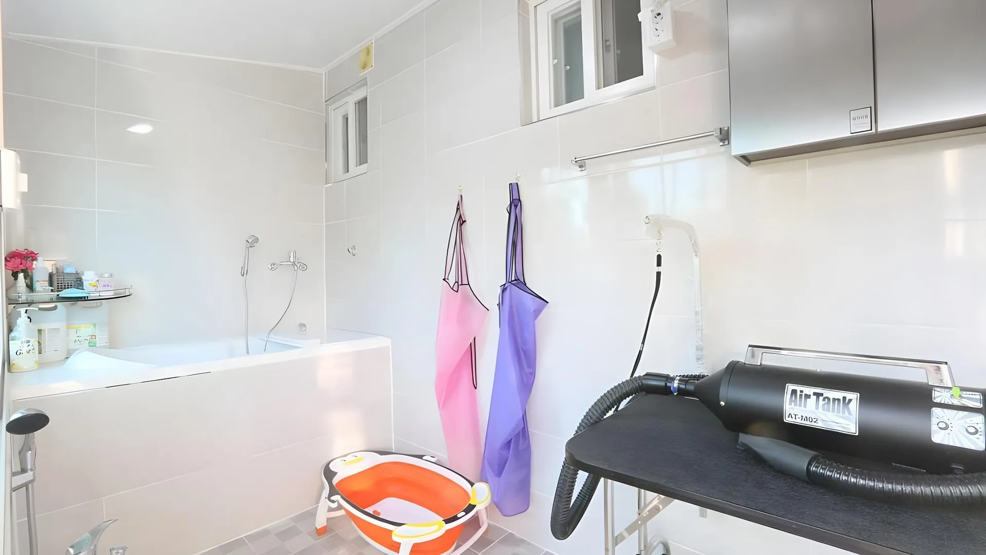 강릉 파인힐 애견 펜션 1성급 게스트하우스 수영장