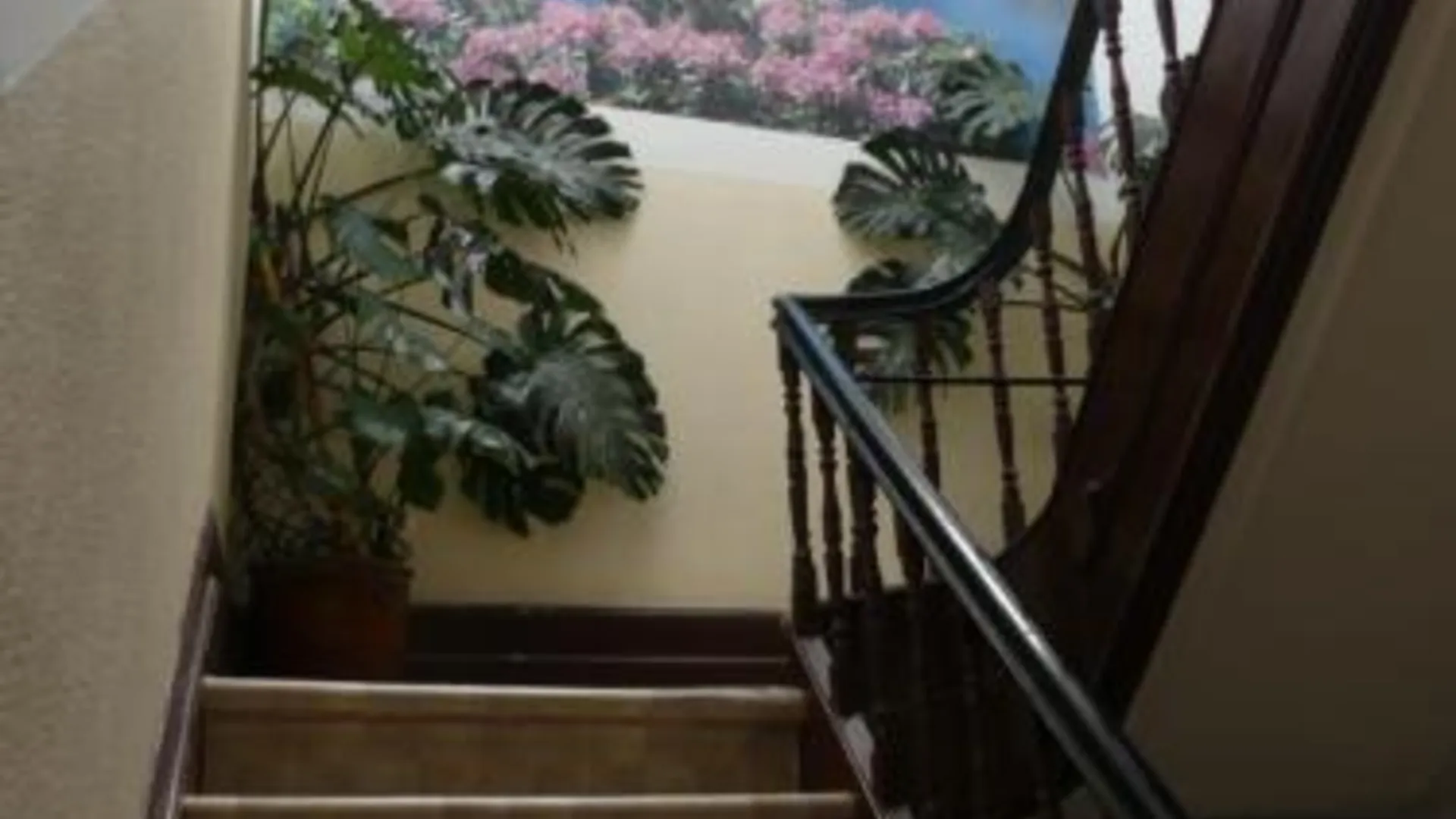 코임브라 Pensao Santa Cruz 2성급 호텔 부대시설