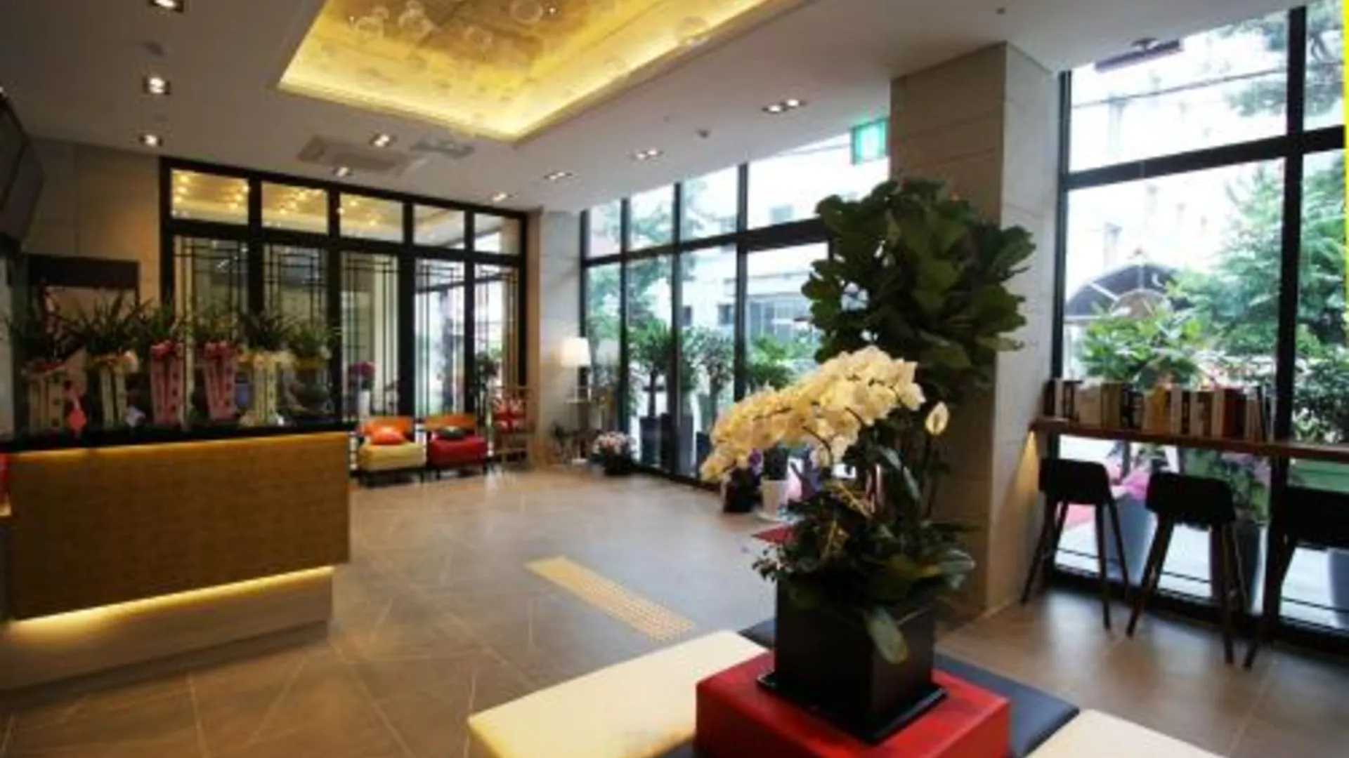 서울 서울 앤 게스트하우스 동대문 3성급 호텔 수영장