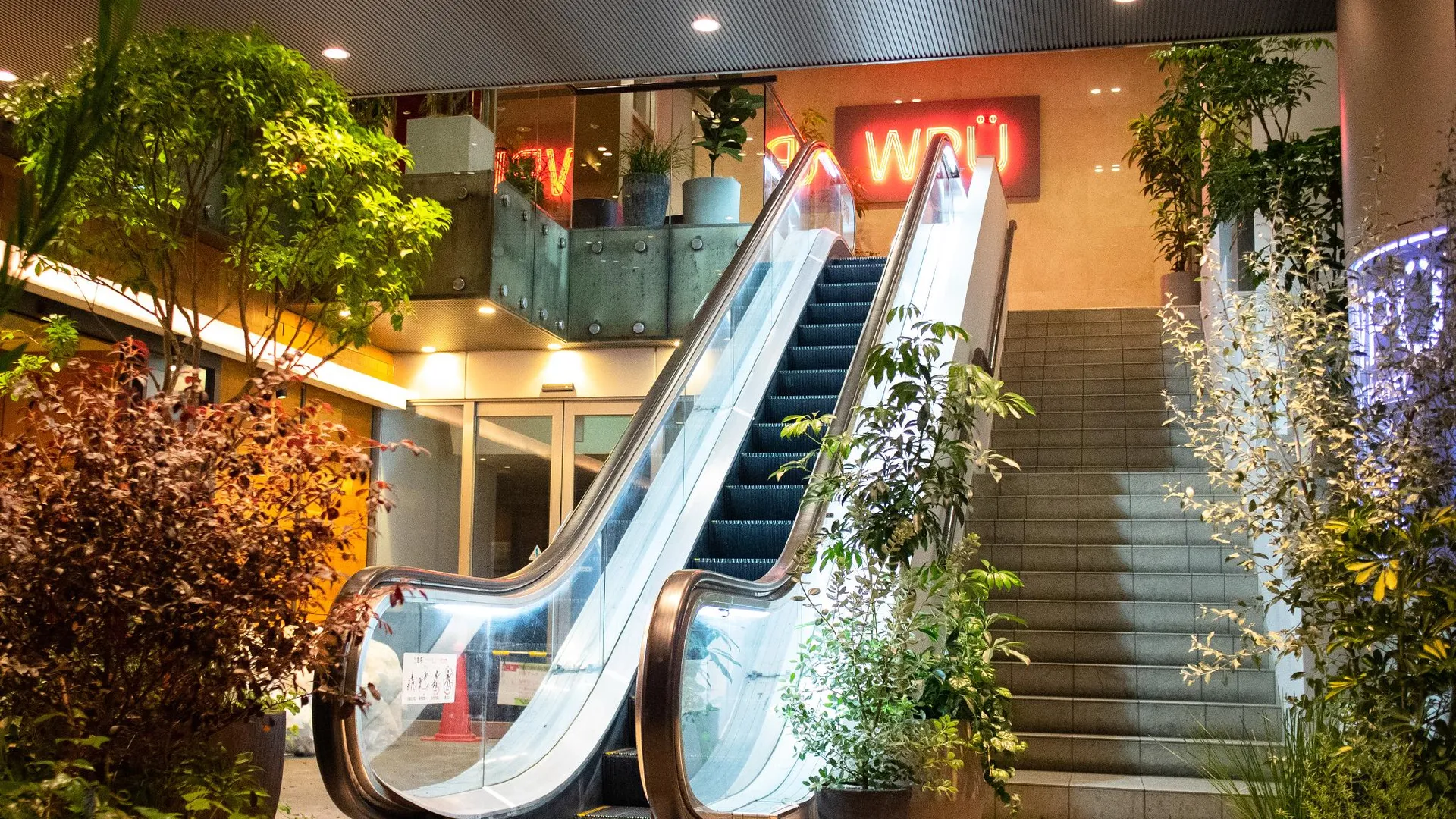 도쿄 / 동경 WPÜ 호텔 신주쿠 3성급 호텔 객실