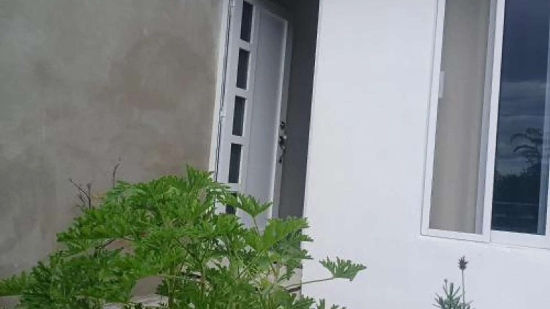 오악사카 The Magic 3성급 싱글룸 외관