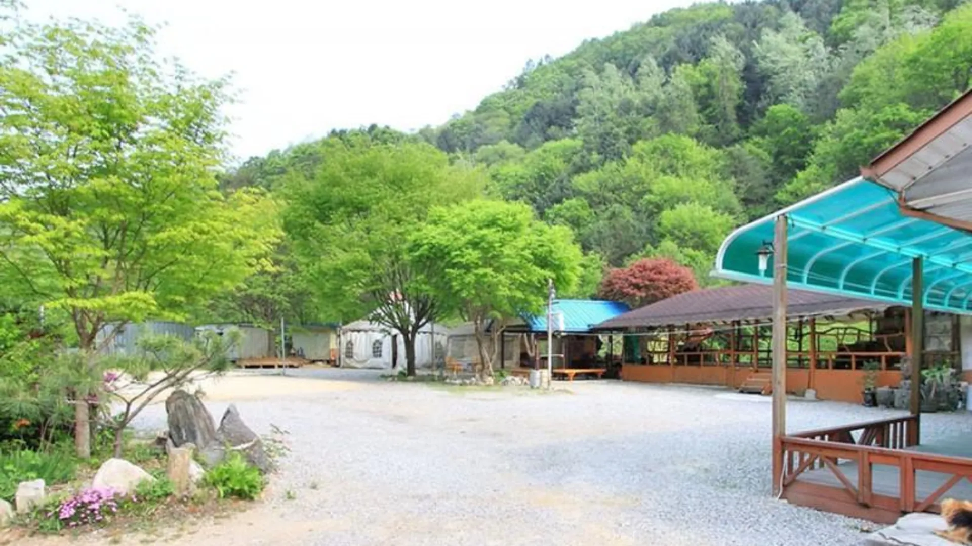 가평 가평 그리운계곡펜션 2성급 게스트하우스 레스토랑