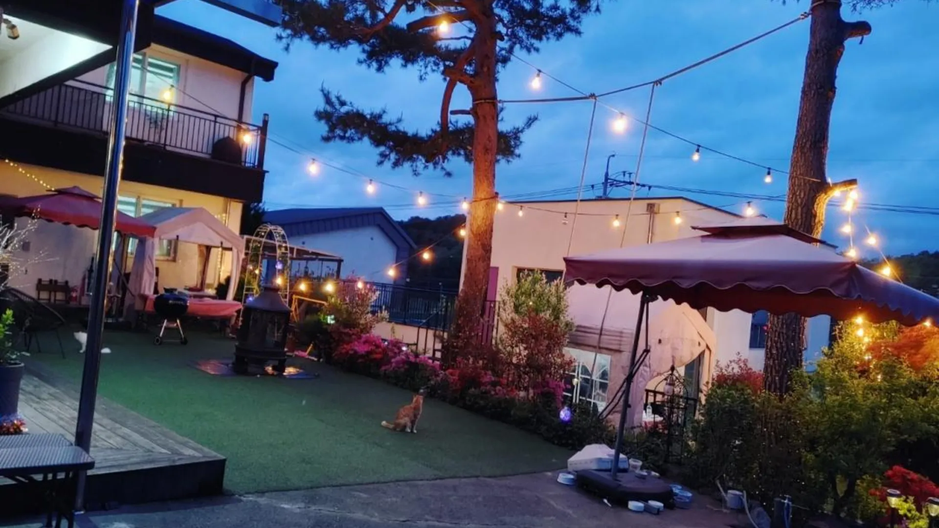 담양 담양 소나무펜션 2성급 게스트하우스 로비