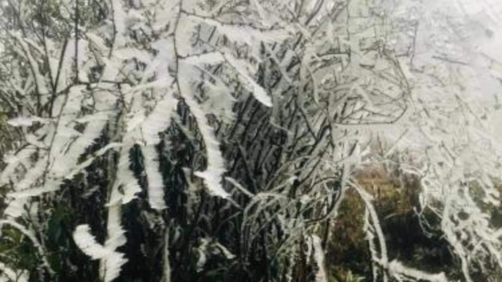 사파 로터스 호텔 1성급 호텔 객실