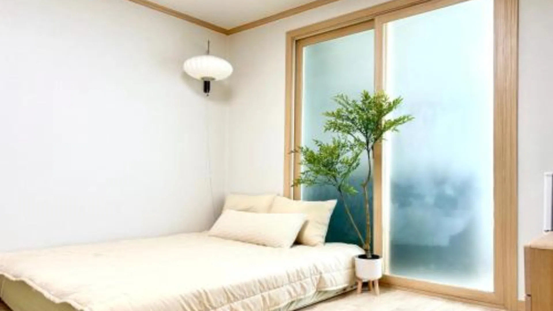 경산시 대구 경산 스테이 4성급 게스트하우스 스위트룸